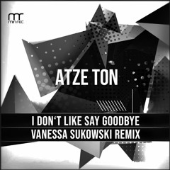 I Don't Like Say Goodbye (Vanessa Sukowski Remix) ˢⁿᴵᵖᵖᵉᵗ