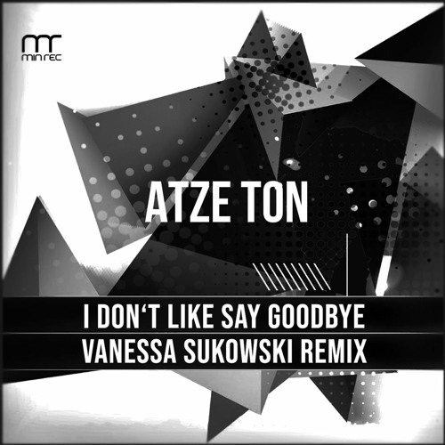 I Don't Like Say Goodbye (Vanessa Sukowski Remix) ˢⁿᴵᵖᵖᵉᵗ