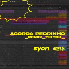 Syon Trio & Ariel B - Acorda Pedrinho (TikTok Remix)