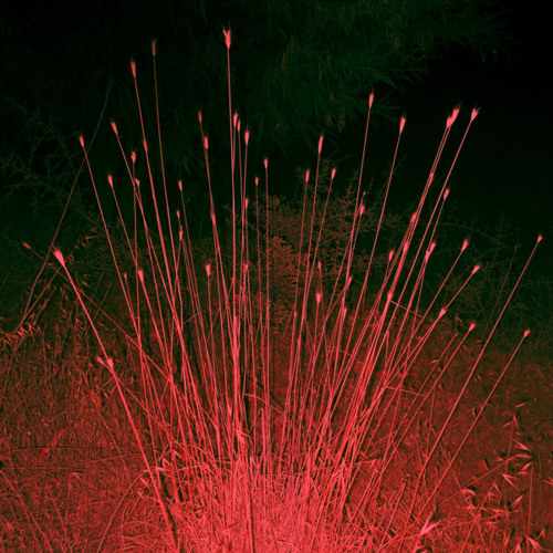 Richy Mitch & The Coal Miners - Evergreen (Slowed & Reverb)