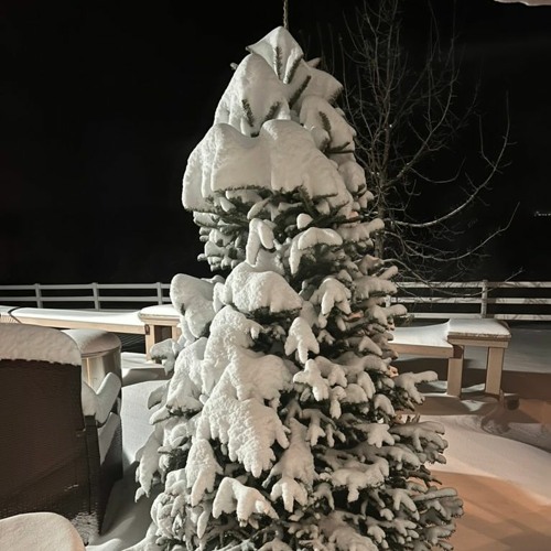 Stream Weather Woes by Praying With the Eyes | Listen online for free ...