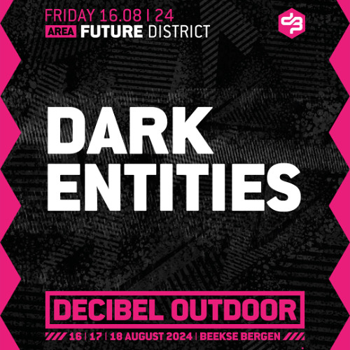 Dark Entities | Decibel outdoor 2024 | Future District | Friday