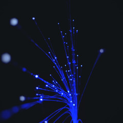 Ichiko Aoba /Albert Karch -ひかりのふるさと