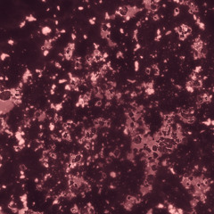 UN_WAV - Catarsis [FREE DOWNLOAD]