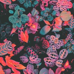 Separated [Seph . J Mix]