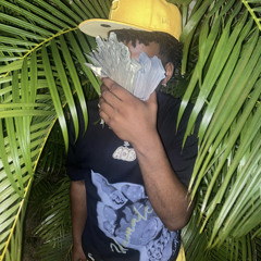 They Love This Crooking