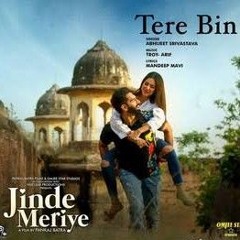 Tere Bin - Troy Arif ft. Abhijeet Srivastava