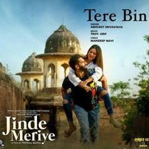 Tere Bin - Troy Arif ft. Abhijeet Srivastava