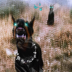 presi con el agustero! prod.baskiat