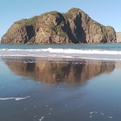 Tidal Love