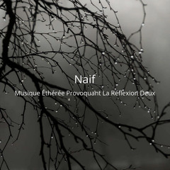 Naif Presents Musique Éthérée Provoquant La Réflexion Deux