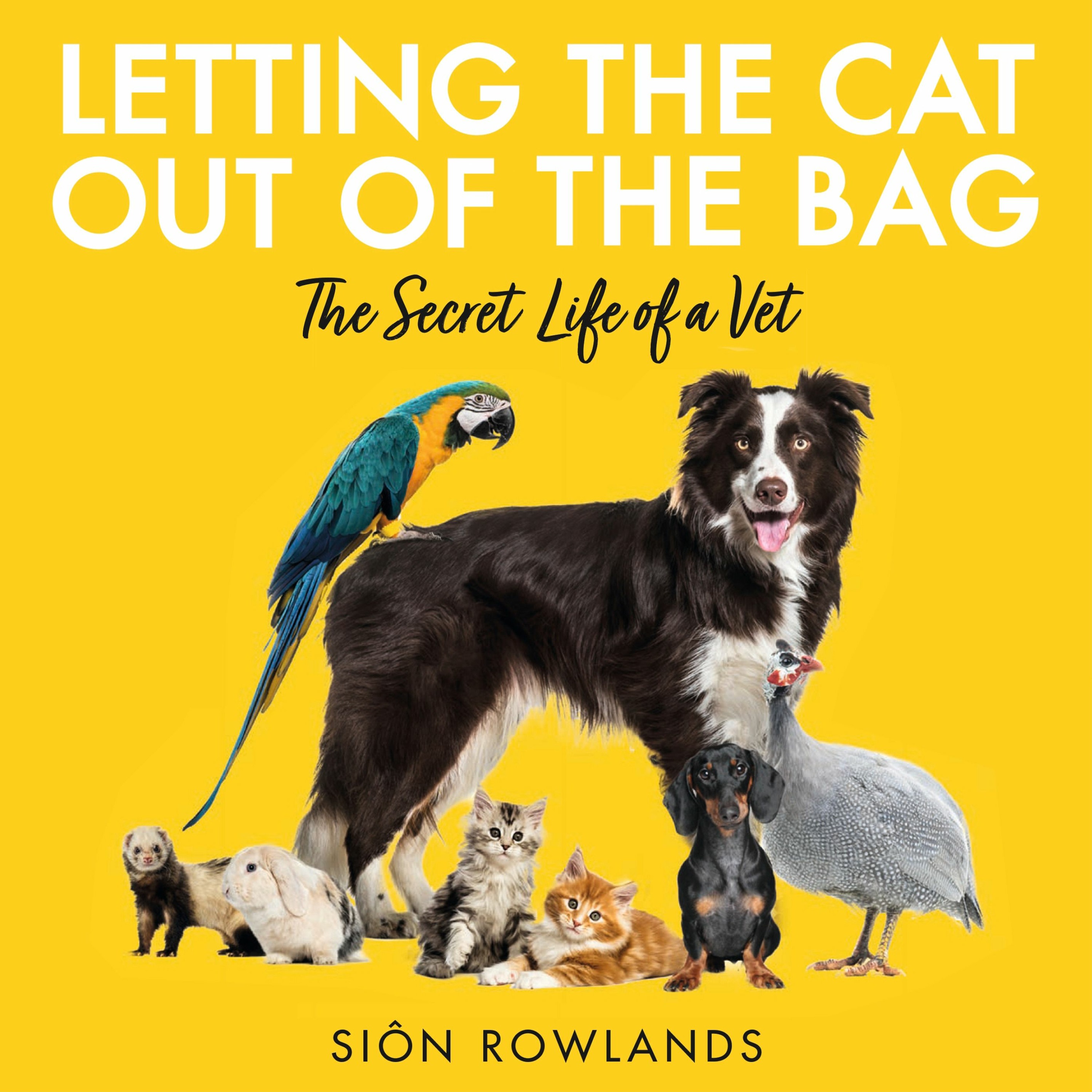 LETTING THE CAT OUT OF THE BAG by Siôn Rowlands, read by Dyfrig Morris - audiobook extract