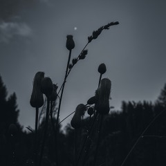 I’ll Be Fine (prodby. Toni)