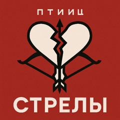 ПТИИЦ - СТРЕЛЫ