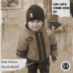 Punk Attack - Torres 2008