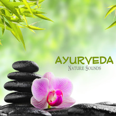 nature sounds