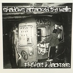 Dj FlyShort & dackrees - shadows attacked the walls