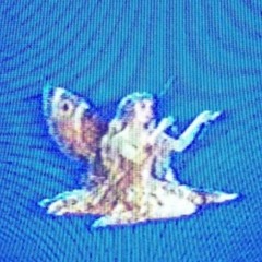 ihopeubleed w/ smoking stogies (prod. ruthless)