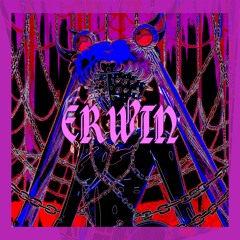 ERWINMIX6