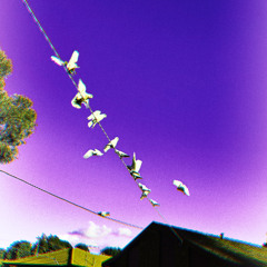 moments by the