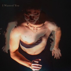 I Wanted You