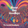 Download Video: Never Say Goodbye