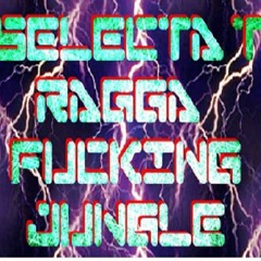 SELECTA T - RAGGA FUCKIN JUNGLE MIX