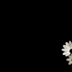 Califronia Dreaming remix