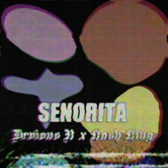 Senorita Ft Kash King