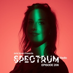 Spectrum Radio 206 by JORIS VOORN