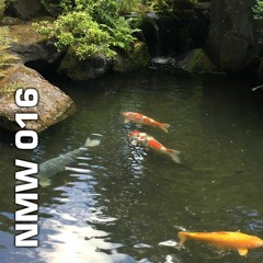 NMW 016 7/21/21