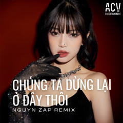 Chúng ta dừng lại ở đây thôi - Thủy Lê x Nguyn Zap Remix (ACV)