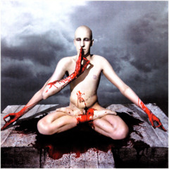 Meshuggah - Bleed (cover)