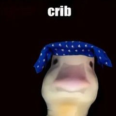 I'm in my cribs pt.1