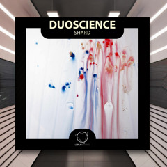 Duoscience - Shard [Lizplay Records] PREMIERE