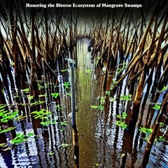 PDF Book Mangrove Swamps: Honoring Nature's Biodiverse Haven