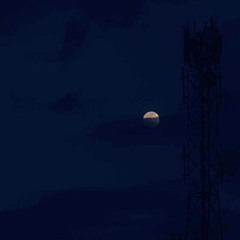 ‎🖤-⁨ احطب ضلوعي