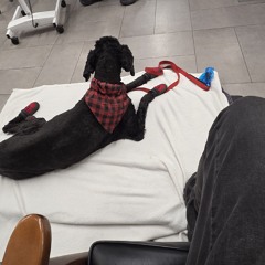 Paper In The Cut (Linkin Park,  Marshmello, Viperactive)