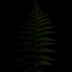 𓁿 𝑅𝑒𝑙𝑒𝑎𝑠𝑒𝑠  ˼ re mix , edit ˻