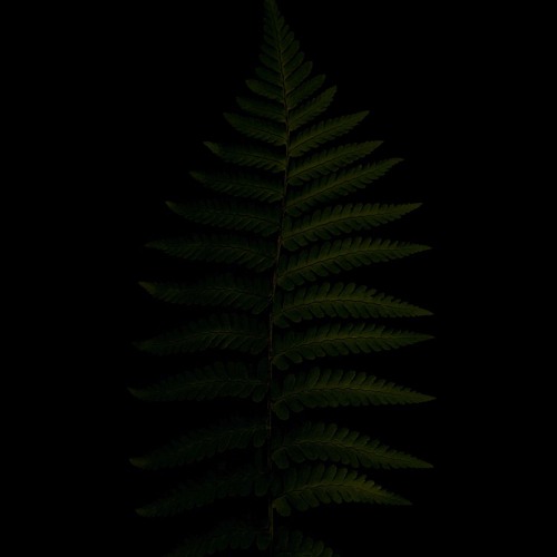𓁿 𝑅𝑒𝑙𝑒𝑎𝑠𝑒𝑠  ˼ re mix , edit ˻