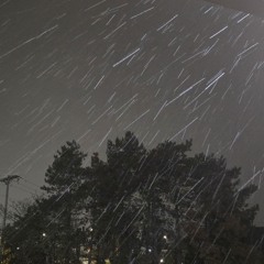 Carolina Midwestern Plains