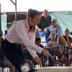 Ava Astorino takes Reserve and Grand Champion