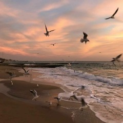 عزيزي.. تعلم أن حديثاً بيننا لا ينقطع ( ضي رحمي).. ♥️