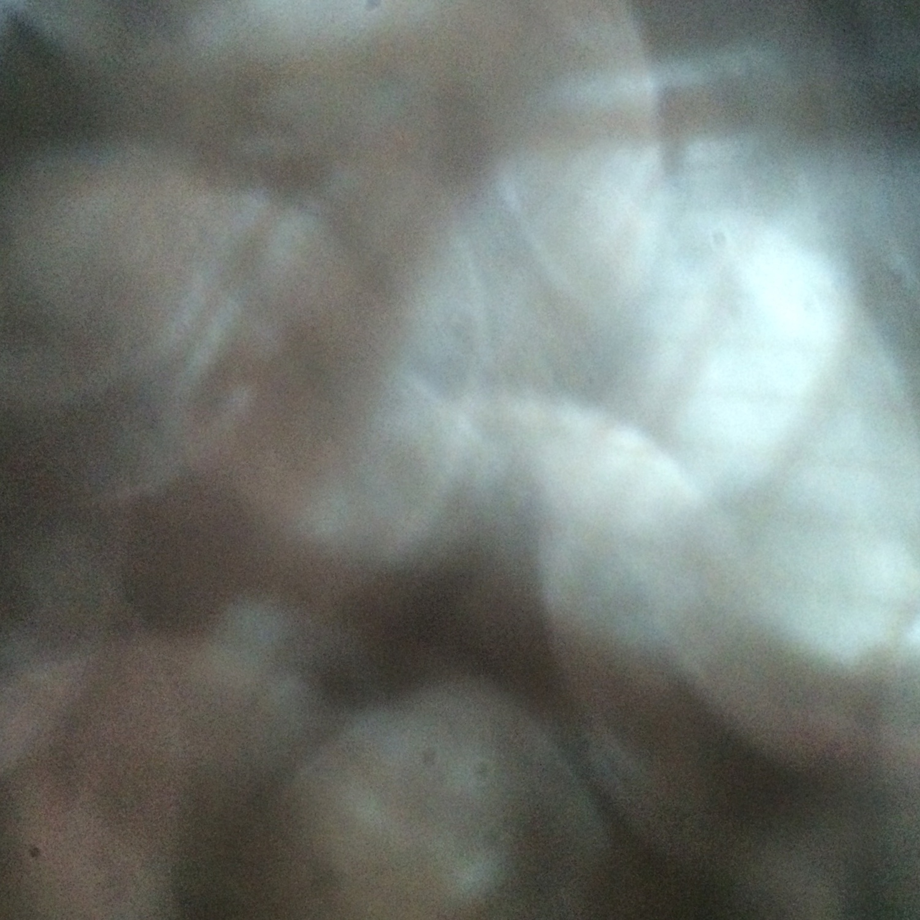 Odnarb