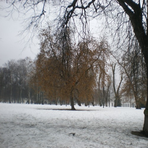 серебро (п. allway$Dexd.)