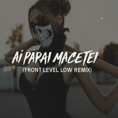 Anitta MC Danny - Aí Papai Macetei (Front Level Low Remix)