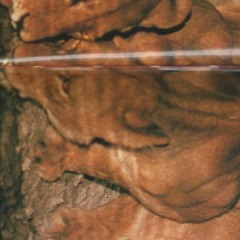 ANIME FEAT. STEVEDAYOUNGAN