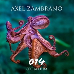 Episodio 014 - Axel Zambrano