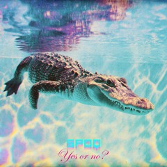 New Number (New Album "Yes or No?" coming May 15th