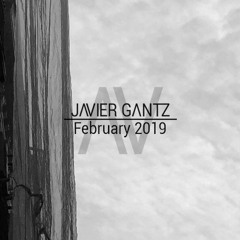 Javier Gantz | February 2019